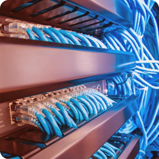 Zdjęcie przedstawiajece kable ethernet